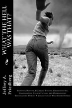 What the Hell Was That?: Stunning Horror, Shameless Terror, Gratuitous Sex, Unapologetic Science Fiction, and Outrageously Embarrassing Humor by Jeffrey Friedberg